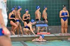 Swim vs Bentley  Wheaton College Swimming & Diving vs Bentley University. - Photo by Keith Nordstrom : Wheaton, Swimming & Diving